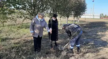 В станице Кавказской пополнили Сад Победы