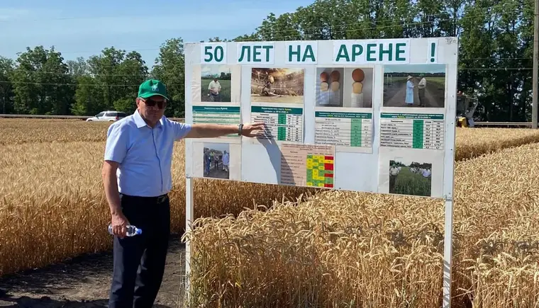 Жатва зерновых началась раньше обычного