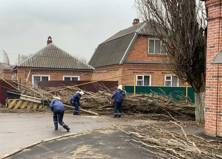 Пронесшийся ураган в Кропоткине повалил свыше десятка деревьев