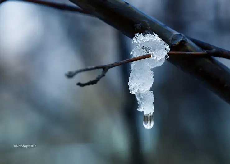 В выходные на Кубани потеплеет до 14 °С