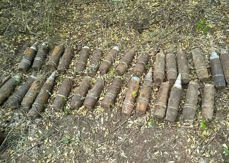 В Гулькевичском районе мужчина нашел в лесополосе 62 боеприпаса времен ВОВ
