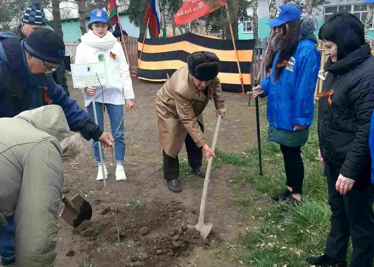 В Кавказском районе появилось десять новых зеленых зон