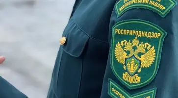 Победители и призеры премии Росприроднадзора получат дополнительные баллы при поступлении в ВУЗы