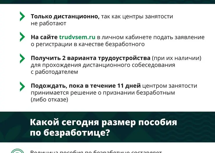 Подписано постановление Правительства РФ о пособии для безработных граждан