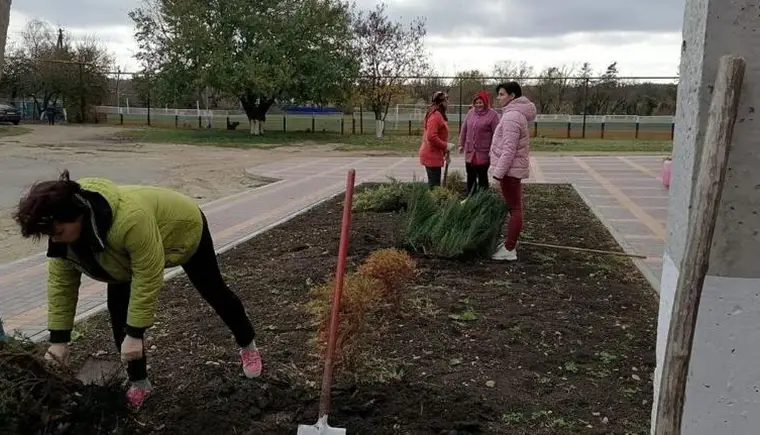 Работники Дома культуры поселка им.М.Горького высадили более 15 кустов можжевельника