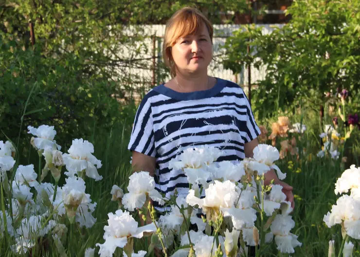 Семь лет Галина Рыбакова из станицы Кавказской выращивает на своем земельном участке более 400 сортов ирисов