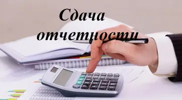 О предоставлении отчетности