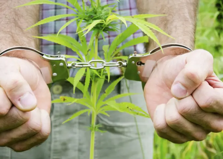 Полицейские пресекли незаконный оборот наркотиков