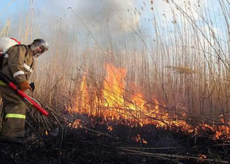 На территории Кавказского района сохраняется чрезвычайная пожароопасность