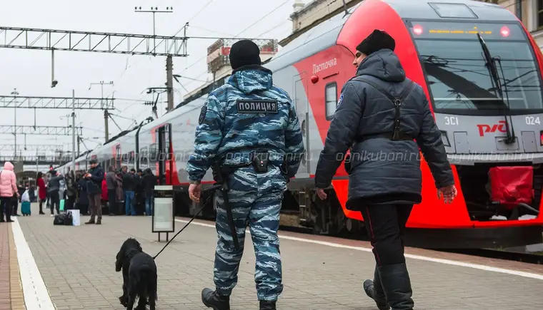 В Армавире сотрудники транспортной полиции изъяли из незаконного оборота марихуану в крупном размере