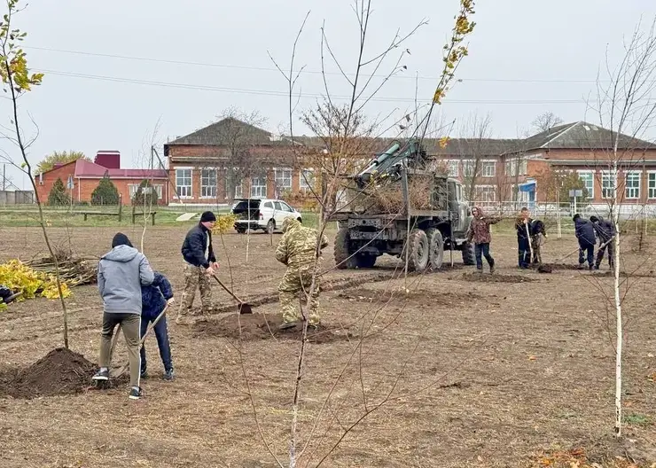 В Темижбекской продолжают сажать деревья