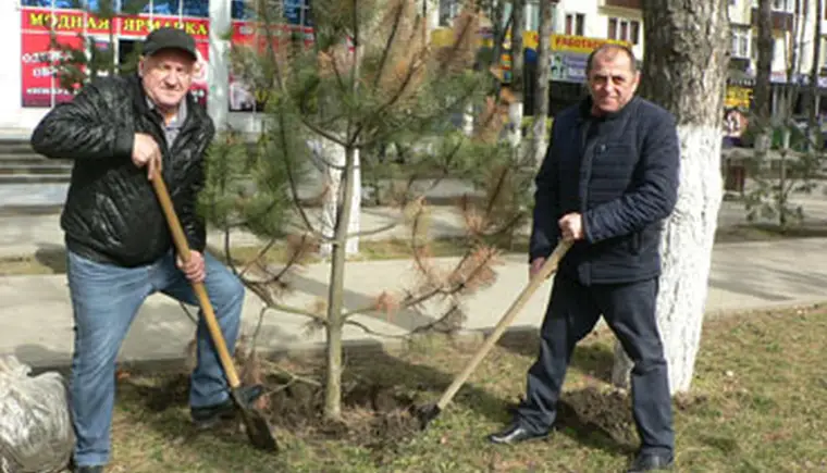 Весна. Арбат зеленеет.