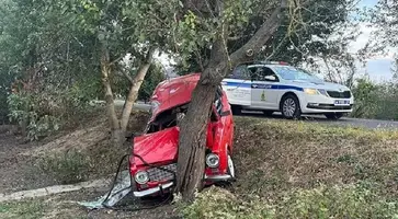 19-летняя водитель смяла ВАЗ об дерево в городе Гулькевичи