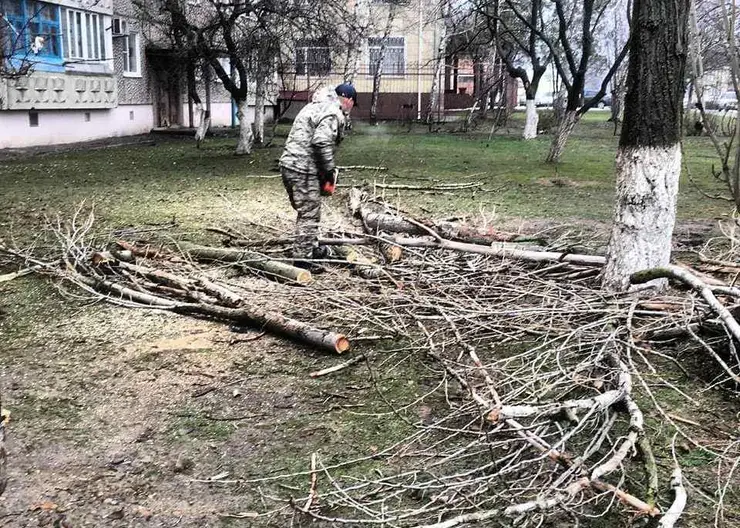 В Кропоткине продолжаются работы по санитарной обрезке деревьев