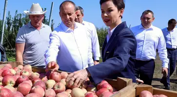 Председатель ЗСК Кубани Юрий Бурлачко побывал в садоводческом хозяйстве «Сады Мичурина»