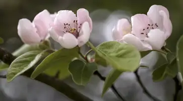 В середине недели на Кубани синоптики прогнозируют очередное похолодание