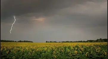 Дожди прошли не равномерно