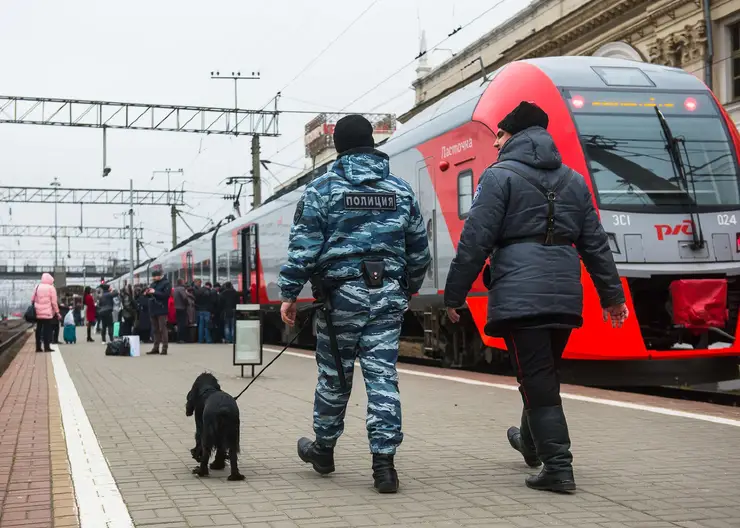 На станции Кавказская сотрудники транспортной полиции изъяли из оборота наркотики в крупном размере