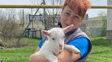Для Елены Холявченко из станицы Темижбекской  жить в окружении коз — большое счастье