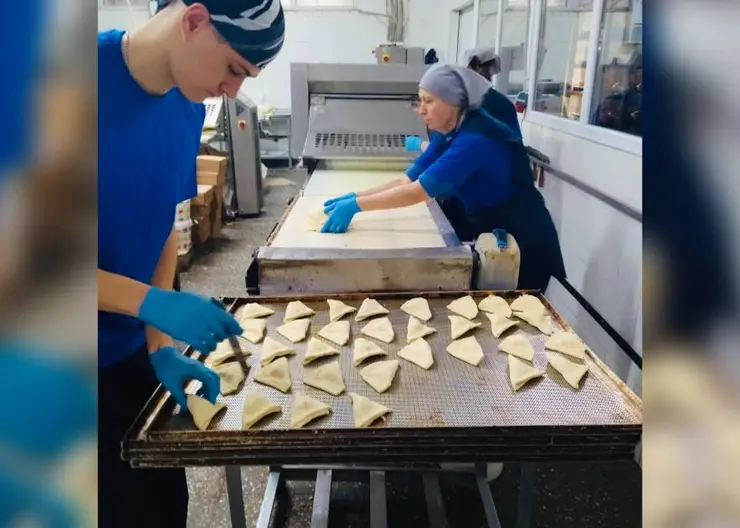 Крупное предприятие ИП Кулагина В.Д. производит здоровый, экологически чистый хлеб