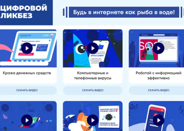 Минцифры России объявляет о запуске просветительского проекта «Цифровой ликбез»