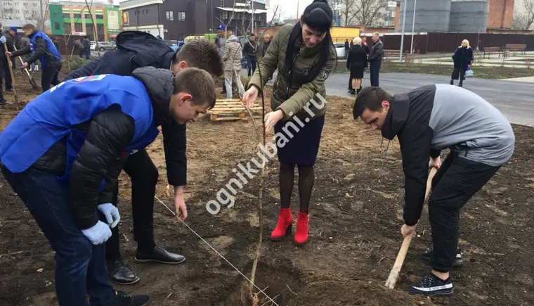 А ты посадил свое дерево?