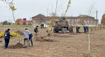 В Темижбекской продолжают сажать деревья