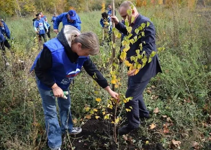 Навести порядок в головах: почему экология становится темой номер один?