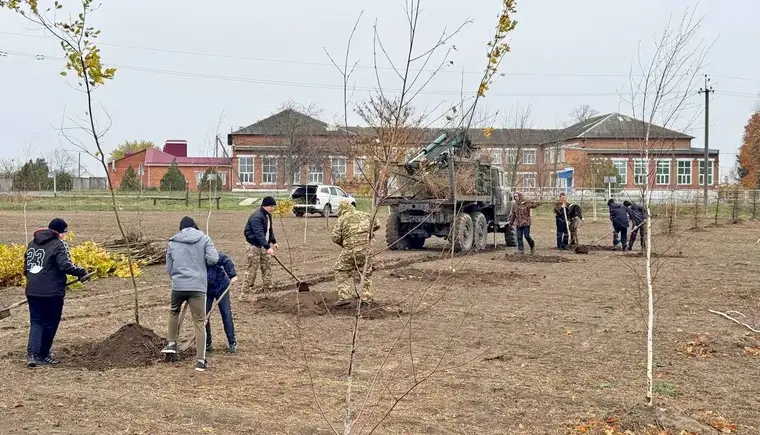 В Темижбекской продолжают сажать деревья