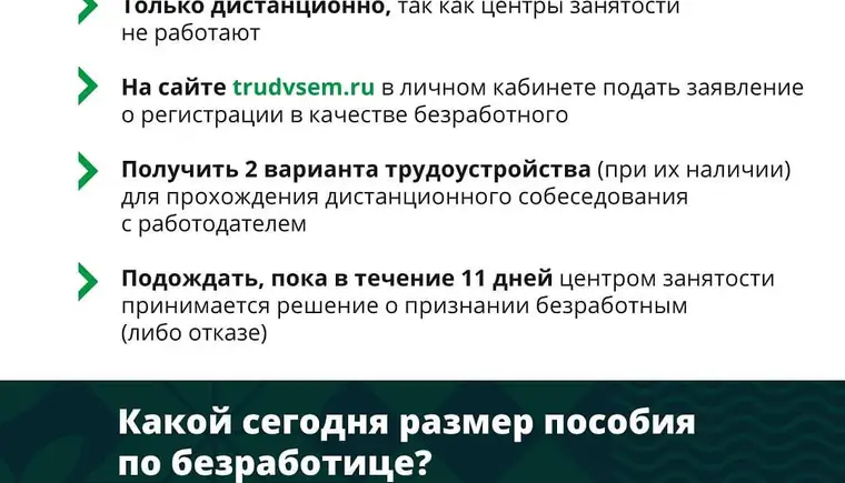 Подписано постановление Правительства РФ о пособии для безработных граждан