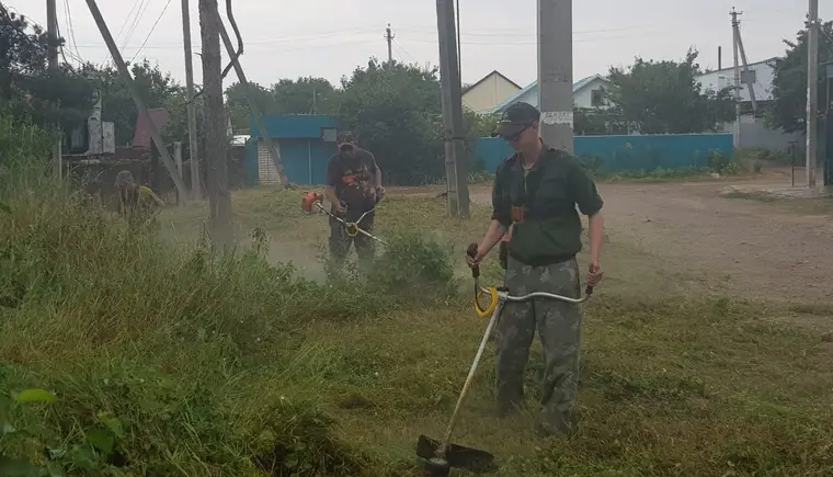 В сосновой роще Кропоткина проведен субботник