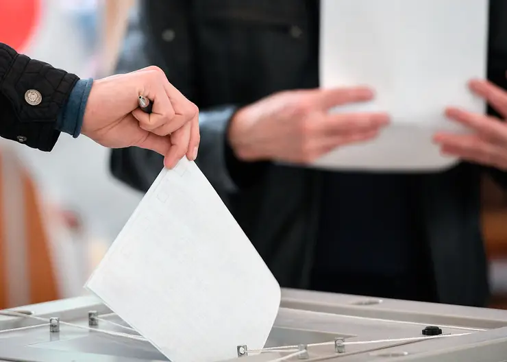 Выборы депутатов Совета муниципального образования