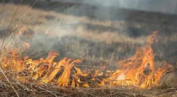 Экстренное предупреждение по чрезвычайной пожароопасности на территории Краснодарского края на 29.08-31.08.2020