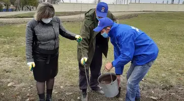 В хуторе Привольном высадили 100 саженцев ясеня и софоры