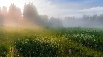 В середине рабочей недели на Кубани ожидаются дожди, туман и повышение температуры воздуха