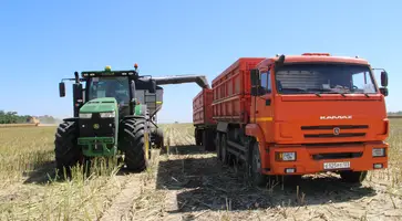 На полях ООО СК «Восток» приступили к уборке рапса и гороха на зерно