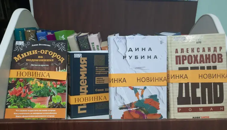 В городской библиотеке имени А.В.Луначарского книжное поступление