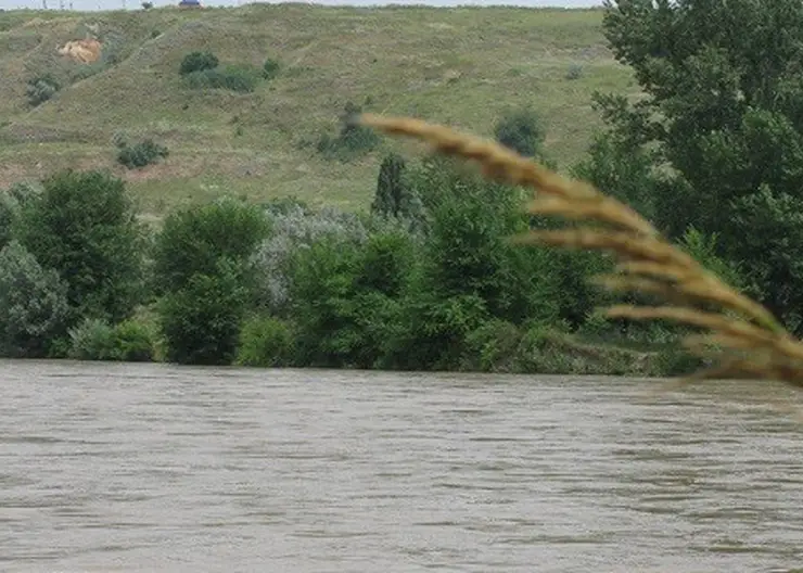 Уровень реки Кубань специалисты ГО и ЧС Кавказского района определили как низкий