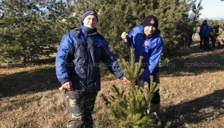 Молодые депутаты подключились к акции «Дерево Победы»