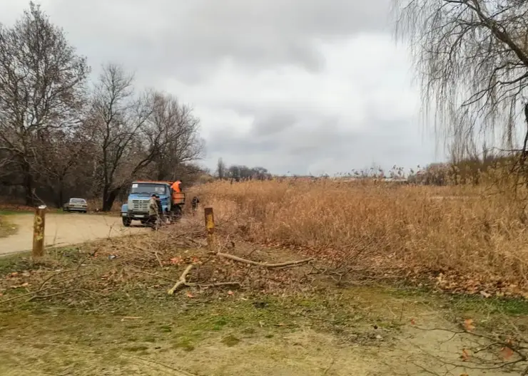 Очистка сухостоя идет на бывшем городском пляже