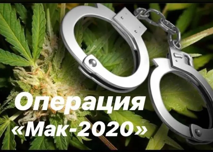 В Кавказском районе полицейские проводят операцию «Мак-2020»