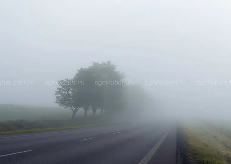 В середине недели в Краснодарском крае ожидается туман и до +17°С