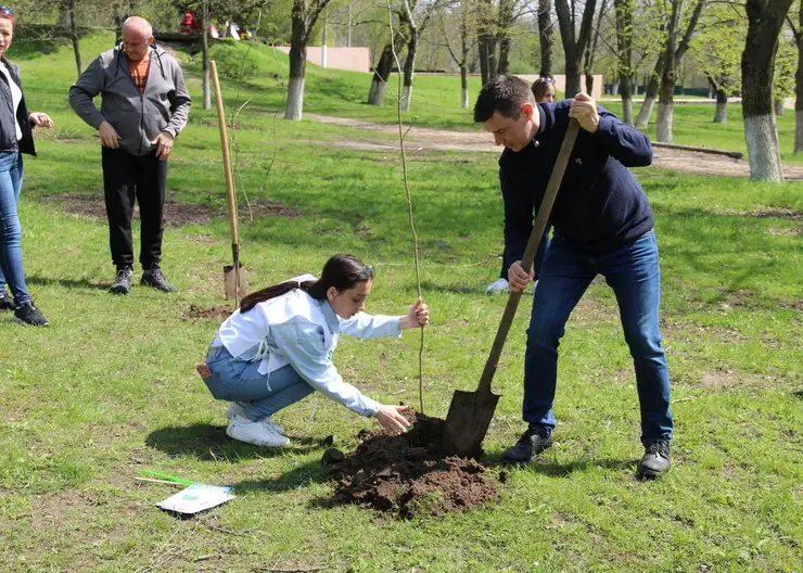 В период акции «Сад памяти» в Кавказском районе высажено свыше тысячи деревьев