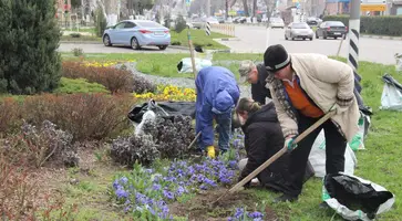 Подведены итоги районного субботника