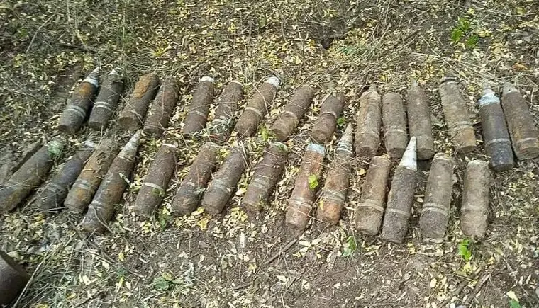 В Гулькевичском районе мужчина нашел в лесополосе 62 боеприпаса времен ВОВ