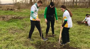 <strong>Молодежь поселка имени М.Горького высадила в парке клены</strong>