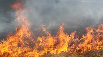 Жаркие дни влекут за собой пожары и сбои в подаче воды