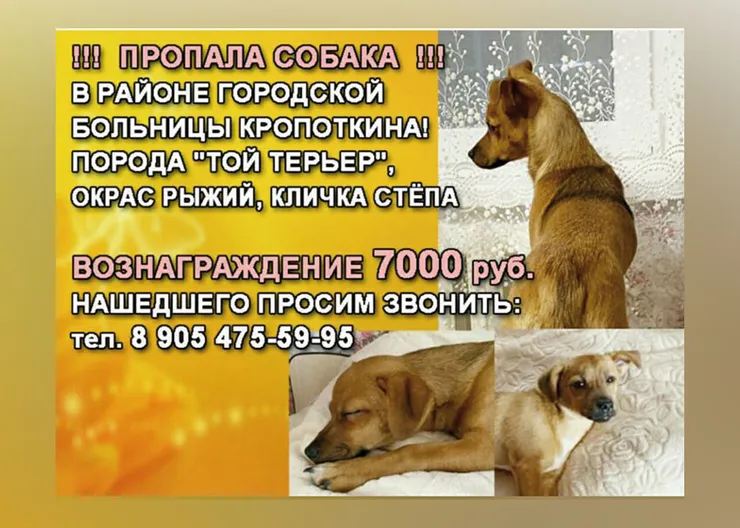 https://ognikubani.ru/wp-content/uploads/2022/12/WhatsApp-Image-2022-12-16-at-13.25.01_11111