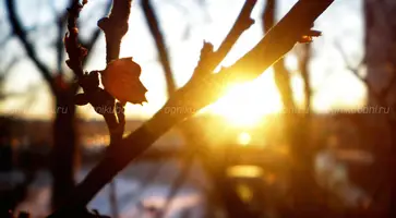 https://ognikubani.ru/wp-content/uploads/2020/03/392268