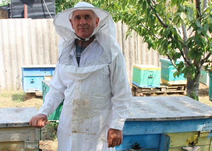 https://ognikubani.ru/wp-content/uploads/2021/08/ognikubani.ru-32